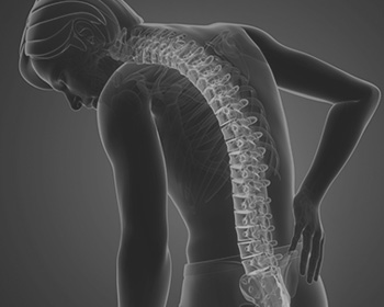 Spine