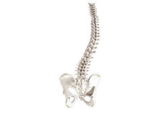 Spine Deformity Surgery